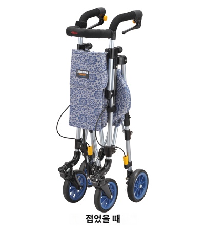 레제르 보행차 캔싯